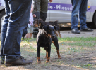 DSC_1206.JPG